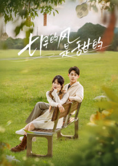 妈妈别怪我 封面图